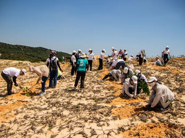 Volunteers planting trees across sandy land