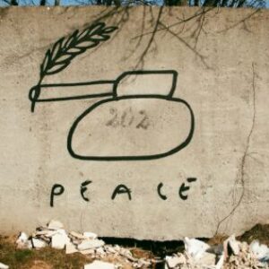 Group logo of Peace and Security